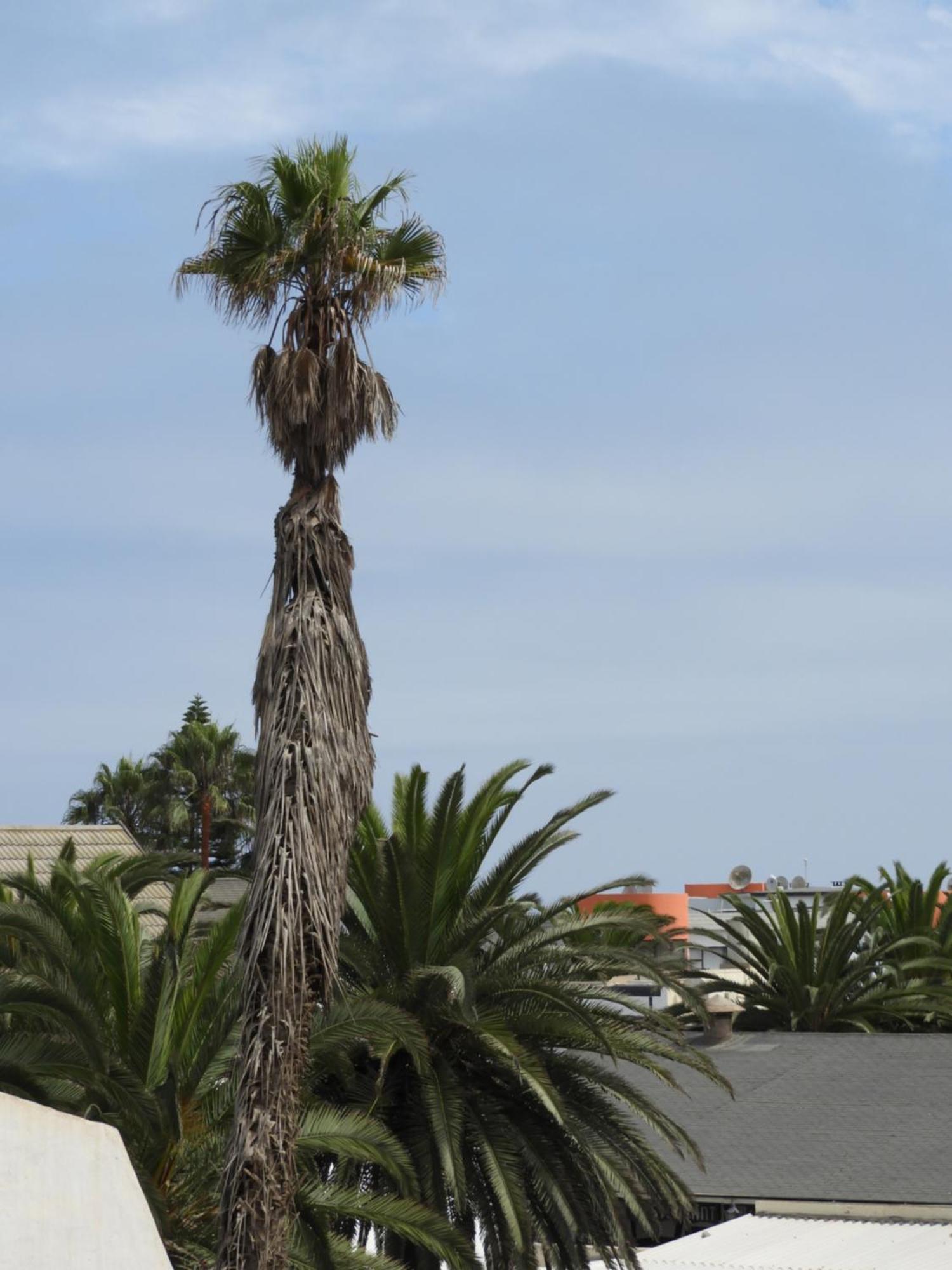 Central Self Catering Swakopmund Εξωτερικό φωτογραφία